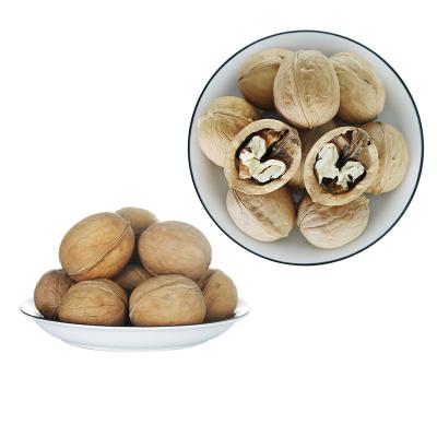 China Nutritious Pure Natural Fresh Whole Raw Chinese Walnut Fruit Dried Nuts In Shell for sale