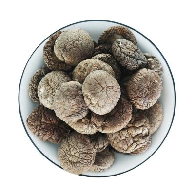 China High Nutrition Natural Premium Shiitake Mushroom Eco-friendly Frozen Dry Shiitake Mushroom Dried for sale