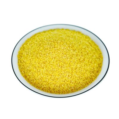 China Healthy Chinese Grain Millet Golden Millet Best Selling Cheap Organic Yellow Product for sale