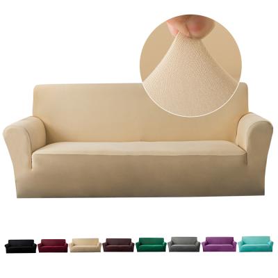 China Amazon Hot Sale Modern Solid Simple Ivory Stretch Sofa Covers Elastic Sofa Seat Covers Sofa Stretch Corner Sofa Covers for sale