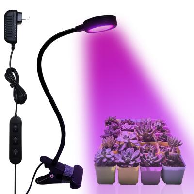 China Seed Starting Cusomik One Head Cilp Grow Desk Lamp Red Blue White Lights Full Wavelength Spectrum For Succulents for sale