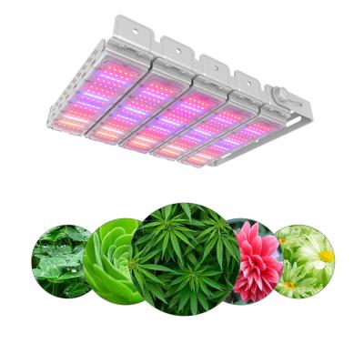 China Wavelength Can Be Customized Cusomik 300w LED 3030 SMD Full Spectrum Plant Grow Light Waterproof LED Grow Light for sale