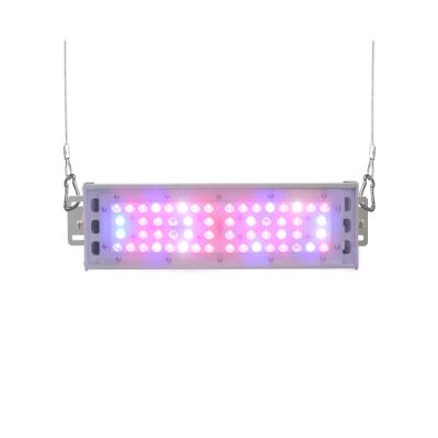 China Seed Starting Cusomik 50W Led Linear Grow Light 450nm 630nm 660nm UV And IR Spectrum For Greenhouse And Garden for sale