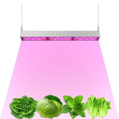 China Seed Starting New Product Wholesale 150W Led To Grow Line Full Spectrum IR Growth Supermarket Fruit Stall Vertical Agricultural Fill Light for sale