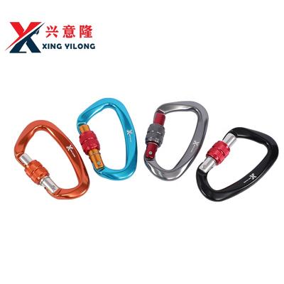 China Aluminum Alloy 25KN Mountaineering Climbing Key Lock Buckle D-type Master Equipment Supplies Fast Climbing Outdoor Safety for sale