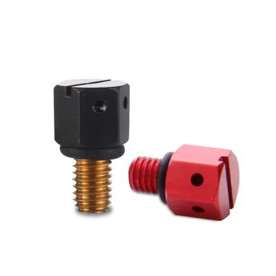 China Electric Waterproof Brass Machinery Brass Valve Custom Color IP68 Color Automatic Air Vent Valve for sale