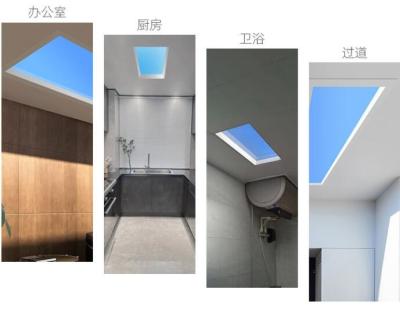 Chine Topsung Tuya Smart Simulation Sky Change 48W 96W Panneau LED de taille multiple lumière bleu ciel plafond lumière sur le toit à vendre