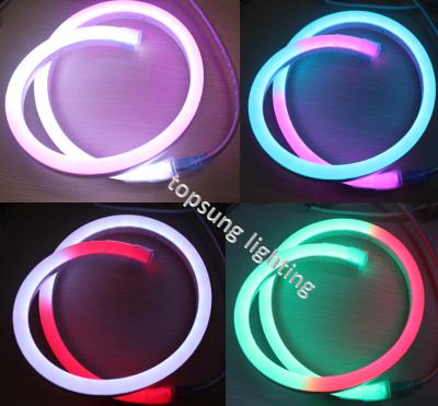 China led waterproof lights 14*26mm digital neon lights 24v christmas lights for sale