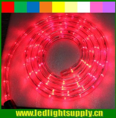 China outdoor christmas rope light 12/24v 1/2'' 2 wire led rope lights for sale