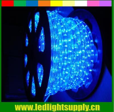 China blue outdoor decoration light 2 wire 12/24V led rope flex light for sale