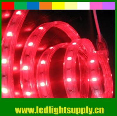 Κίνα Ηλεκτρονικό ρεύμα AC 220V SMD5050 LED νεόνιο λωρίδα διακοσμητικό φως κόκκινο προς πώληση