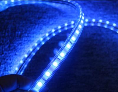 China 5050 Wechselstrom-Streifenleuchten 220V 60LED/M blaue Beleuchtung zu verkaufen