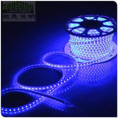 Cina 100m 230v AC led 5050 resistente all'acqua strisce taglibili luci colore blu flessibile in vendita