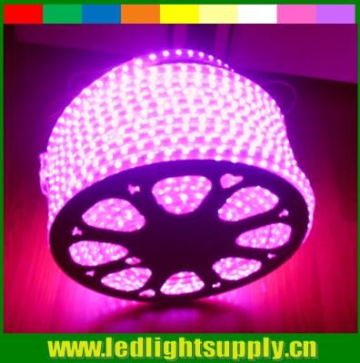 China whole sale AC LED  110V strip flexible led ribbon 5050 smd pink 60LED/m strip for sale