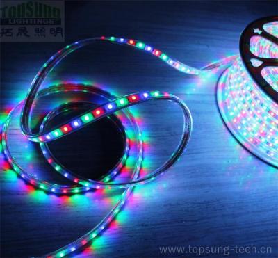 China 50 metros de bobina RGB persiguiendo la tira led de 120v 5050 SMD aseguramiento comercial Distribuidor en venta