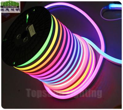 China 24v led neon digitaal licht 14*26mm batterij aangedreven neon touw lichten Te koop