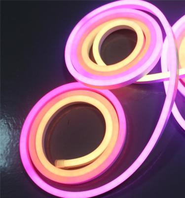 China color changing led rope light digital neon rope lights 10 pixel/m for sale