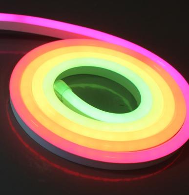 China 24v dynamic digital flexible neon led light strips colorful digital led neon light for sale for sale