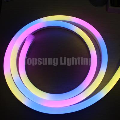 Cina Bello colore RGB che cambia 24V digitale pieghevole LED neon flex luci striscia in vendita