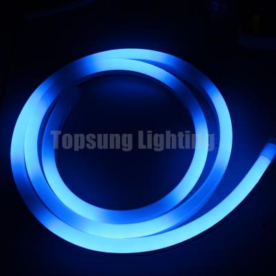 Cina 14*26mm luci a led colorate neon digitale 24v in vendita