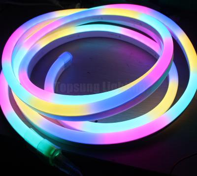 China Mini RGB Digital Pixel Chasing Led Strip Neon Flex touwlamp 24v Te koop