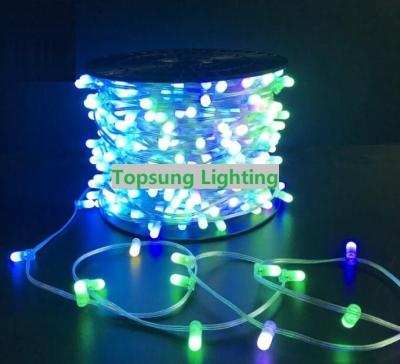 Cina Natale 100m 666leds 12V lampeggiante clip LED sulla luce per AU gioiello garland in vendita