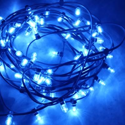 China Waterdicht 100m 1000 led aansluitbaar touwlamp 12v gordel clip kroon touwen blauw uitzenden kerstboom decoratie Te koop