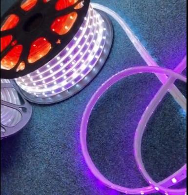 China 50m Smart Neon Flex Rope Light SMD5050 Magic Dream Color DC5V Programmable for sale