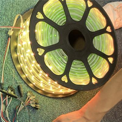 Cina 50m roll 24v High-tech Manufacturer Supply Digital RGB IC Light Magic Dream Color Pixel Programmabile Led Strip in vendita