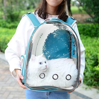 China Small Luxury Travel Cat Pet Carriers Airline Customized Fashion Dog Backpack Viable Transparent Plastic Air Conditioned Handbag for sale