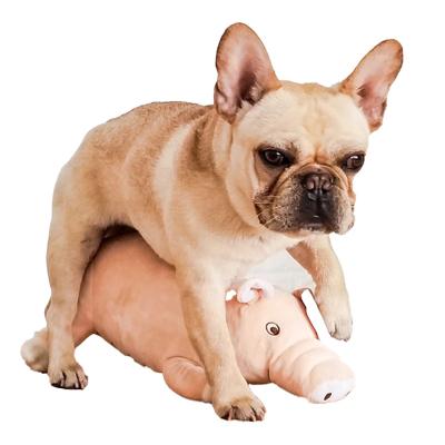 China Viable Pet Cat Exhaust Toy Sex Toys French Bulldog Companion Toy Plush Poodle Dog Play Sleeping Estrus For Male Dog for sale