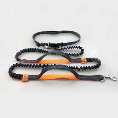 China Low Price Size Two Hooks Splitter Fashion Attractive Design Appearance Delicate New Arrivals Quick Release 1.2 Meter Bungee Dog Leash for sale