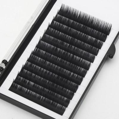 China Both Tapered Tips Matte Black Ellipse Flat Shape False Lashes Split Tips Flat Shape Eyelash Extensions in 0.1&0.15&0.2&0.25mm Lashes for sale