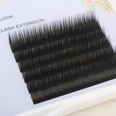 China Long Mytingbeauty Natural Create Your Own Different Lash Extensions Lovely Matte Eyelash 3D Brand Extension Supplies for sale