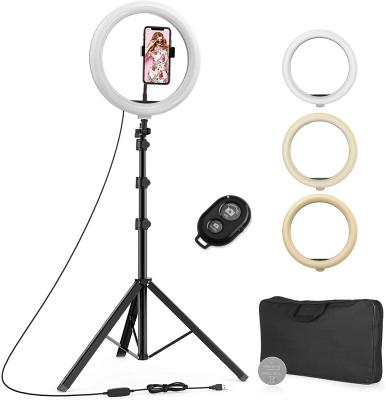 China ABS Phone Holder Video/TikTok Live Stream /Makeup/YouTube Selfie Big 12 Inch Ring Lights Selfie Stick With Tripod Stand for sale