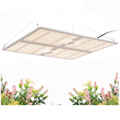 China FLOWER Full Spectrum Grow Lights Indoor Plants Green House Quantum LED Grow Light Samsung lm301b 3000k/4000K/5000K Grow Lights for sale