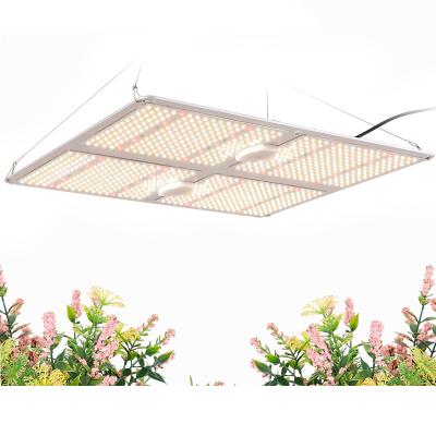 China FLOWER indoor vertical growing grow room led grow light hydroponics spider grow lights board samsung lm301b plant lamps with dim for sale