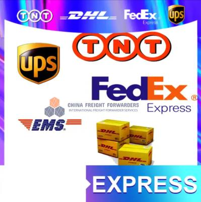 China DHL Express Courier Freight Logistics China Delivery Express Services Te koop