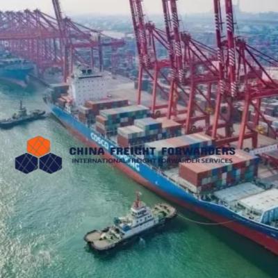 Cina Logistics International Shipping Freight Forwarder From China to Australia DDU/DDP in vendita