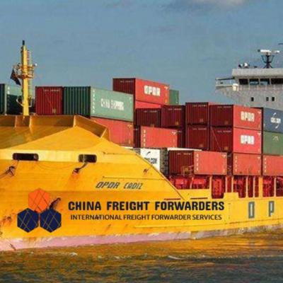 Cina DDU/DDP Fast International Ocean Freight Forwarder From China To UK in vendita