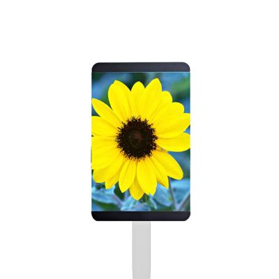 China Street Advertise P4/P5/P6/P8 Street Pole Full Color Outdoor LED Display for sale