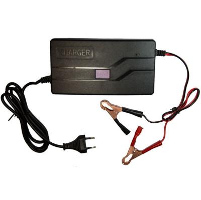 China Sturdy and durable low price guaranteed quality sturdy and durable plastic battery charger for sale