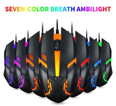 China 3D 2021 Hot Selling Ergonomic RGB Wired USB Portable Gaming Optical Mouse For Desktop Computer Notebook Laptop for sale