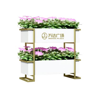 China Flower Minimalist Double Groove Rectangular Partition Fence Movable Bed Iron And Gold Frame Flower Outer Box for sale