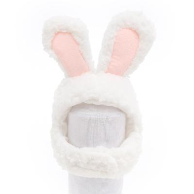 China 2021 Pet Headgear Cat Boutique Cat Boutique Cute Funny Cat Hat Wholesale Viable Cozy Kitten Dog Bunny Rabbit Ears Cat Hat for sale