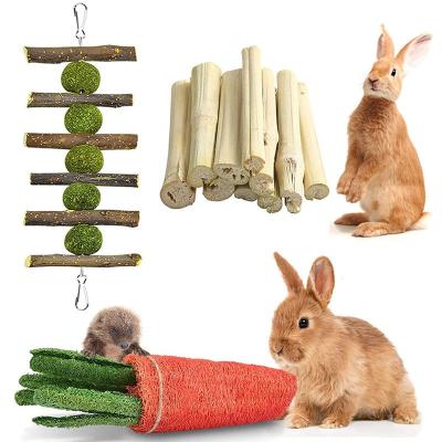 China Factory Stocked Stock Available For Wholesale Wooden Bite Resistant Pet Rabbit Toy for sale