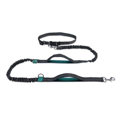 China New Double Length Reflective Elastic Nylon Main Adjustment Hands Free Dog Leash for sale