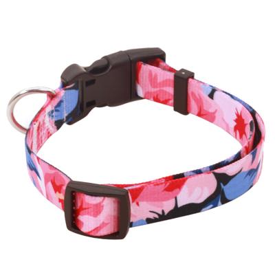 China Stocked wholesale can be customized custom printed nylon dog collars for sale