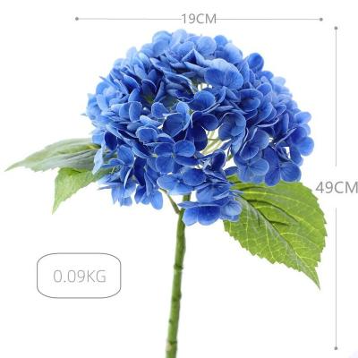 China Colorful new fresh preserved hydrangea flower beautiful 2023 forever colorful durable hydrangea with branches for sale