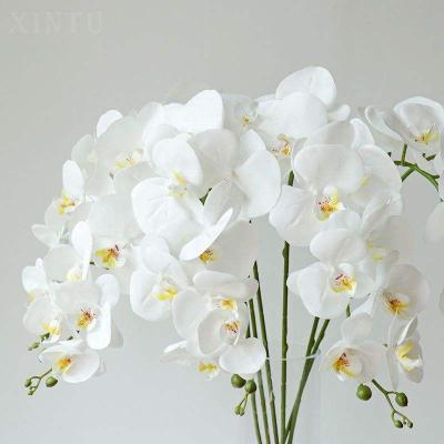 China Real Touch Real Touch Eco-friendly Silk Artificial Phalaenopsis Flowers Orchid Flowers For Decoration for sale